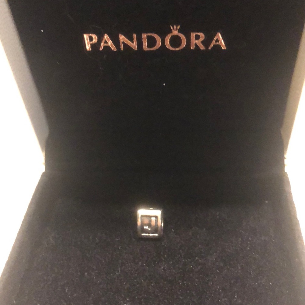 Pandora charm